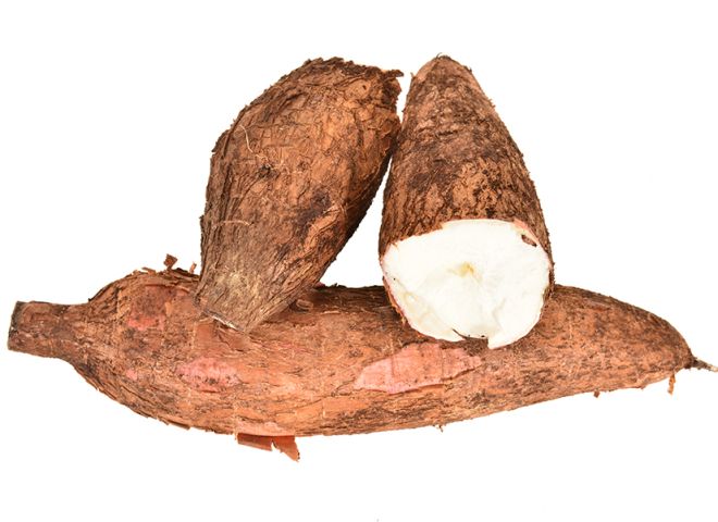 Tapioca